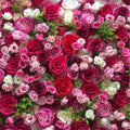 Pink, Red and White Wild Rose Greenery Premium Flower Backdrops | 205
