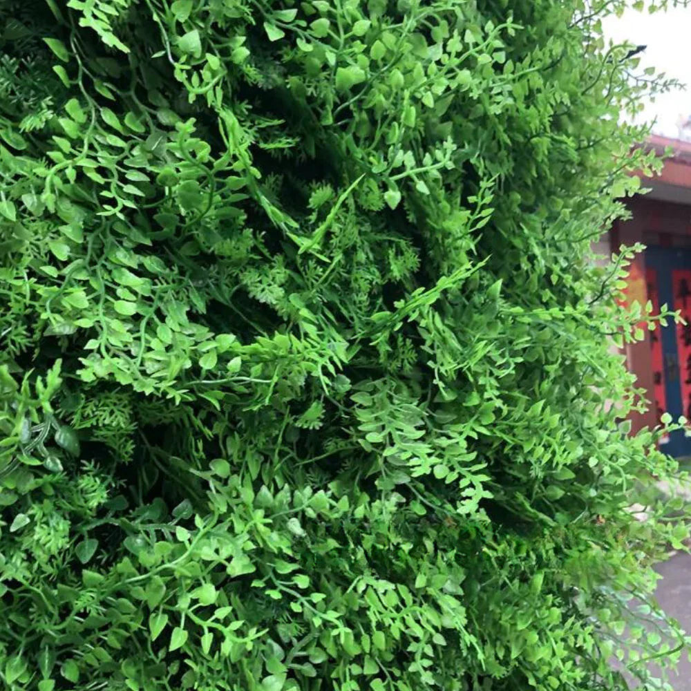 California Hedge Greenery Backdrops | 504