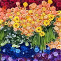 Rainbow Rose Premium Flower Backdrops | 100