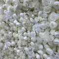 Dripping White Ivory Premium Flower Backdrops | 278