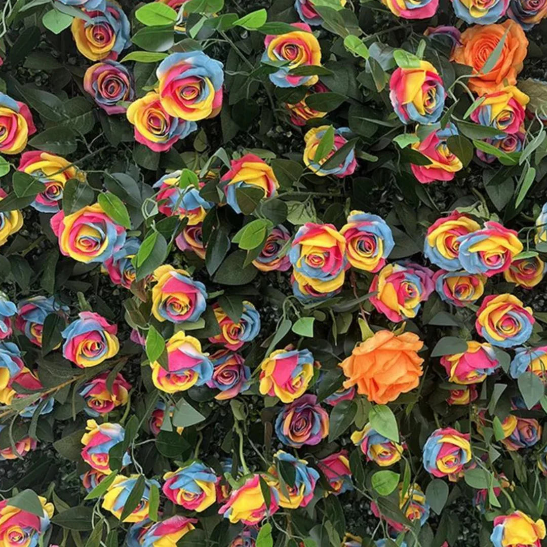 Ultimate Rainbow Rose Premium Flower Backdrops | 007