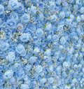 Light Blue Rose & Babys Breath Flower Backdrops | 334