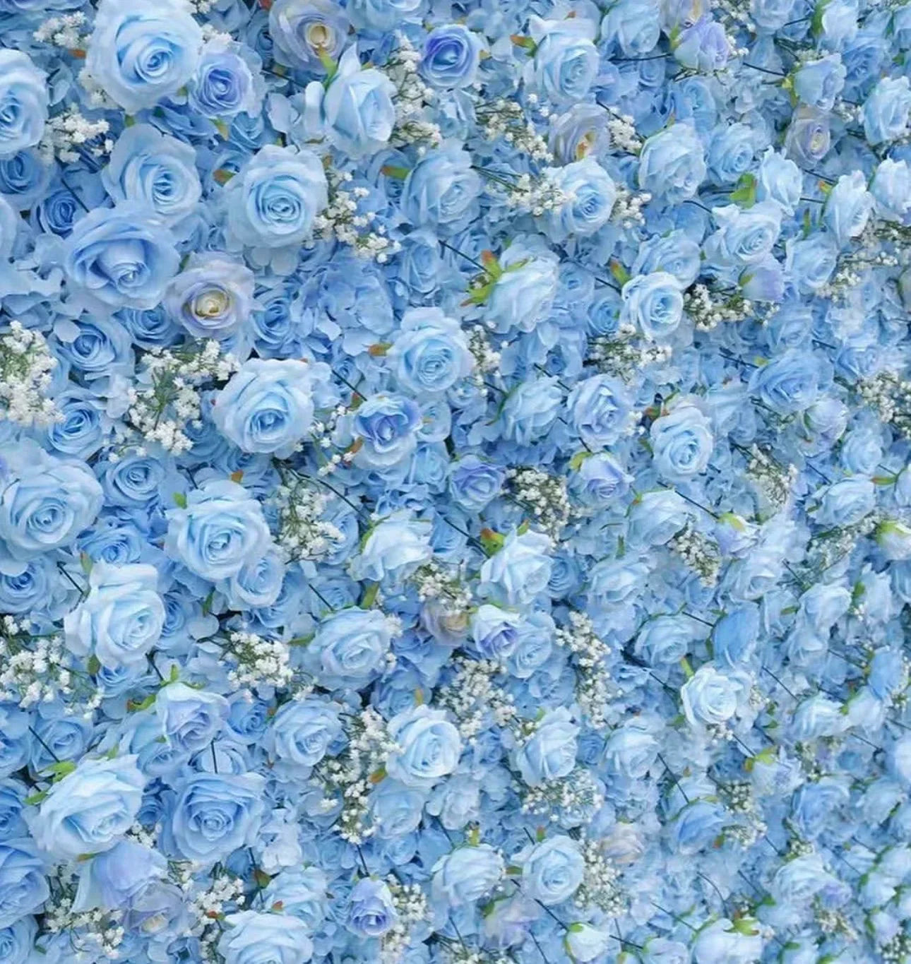 Light Blue Rose & Babys Breath Flower Backdrops | 334