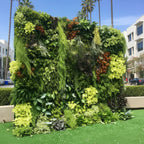 Botanical Dream Premium Greenery Flower Backdrops | 507
