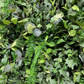 Dripping Green Vinery Premium Flower Backdrops | 534