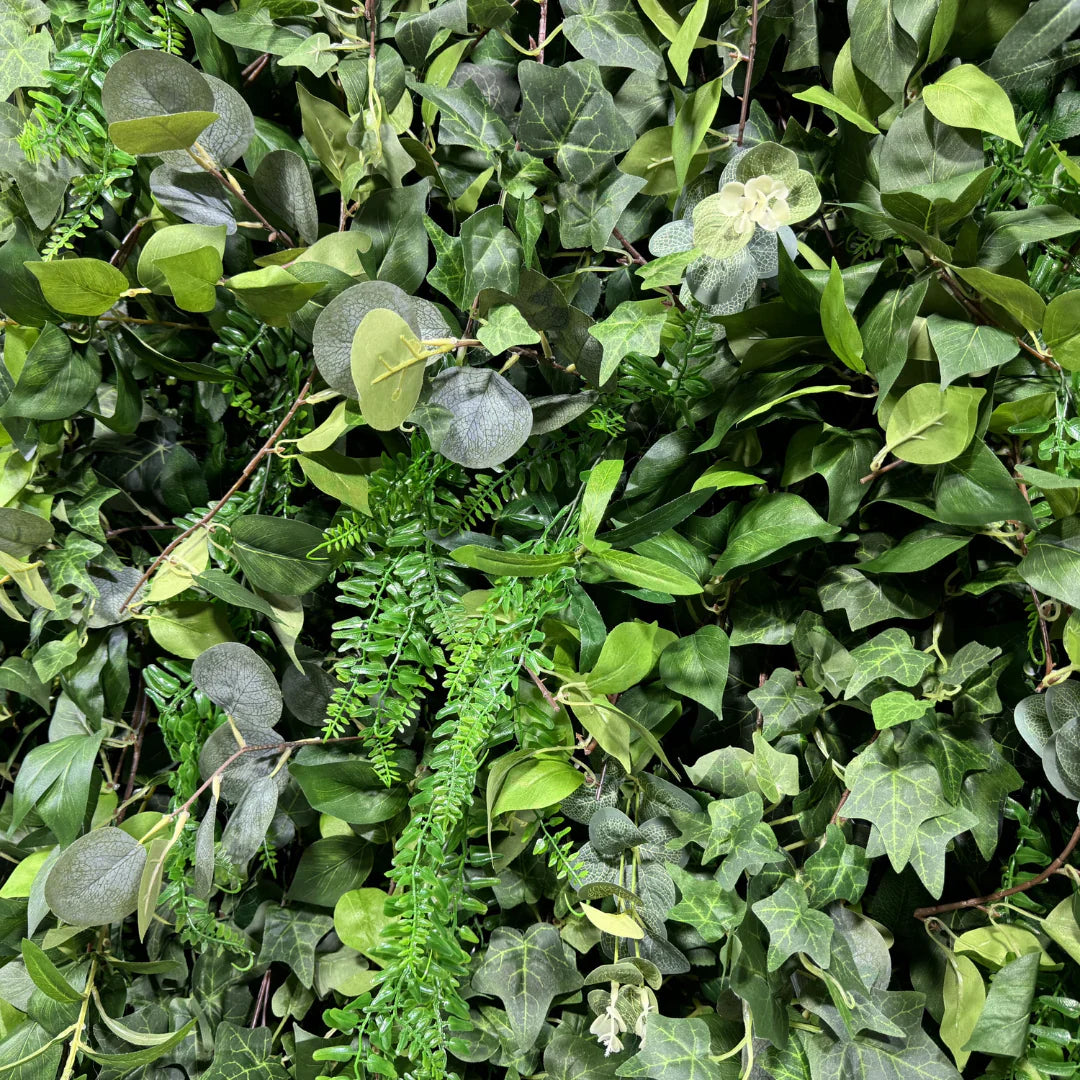 Dripping Green Vinery Premium Flower Backdrops | 534