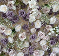 Babys Breath White. Purple Lavender Rose Flower Backdrops | 255