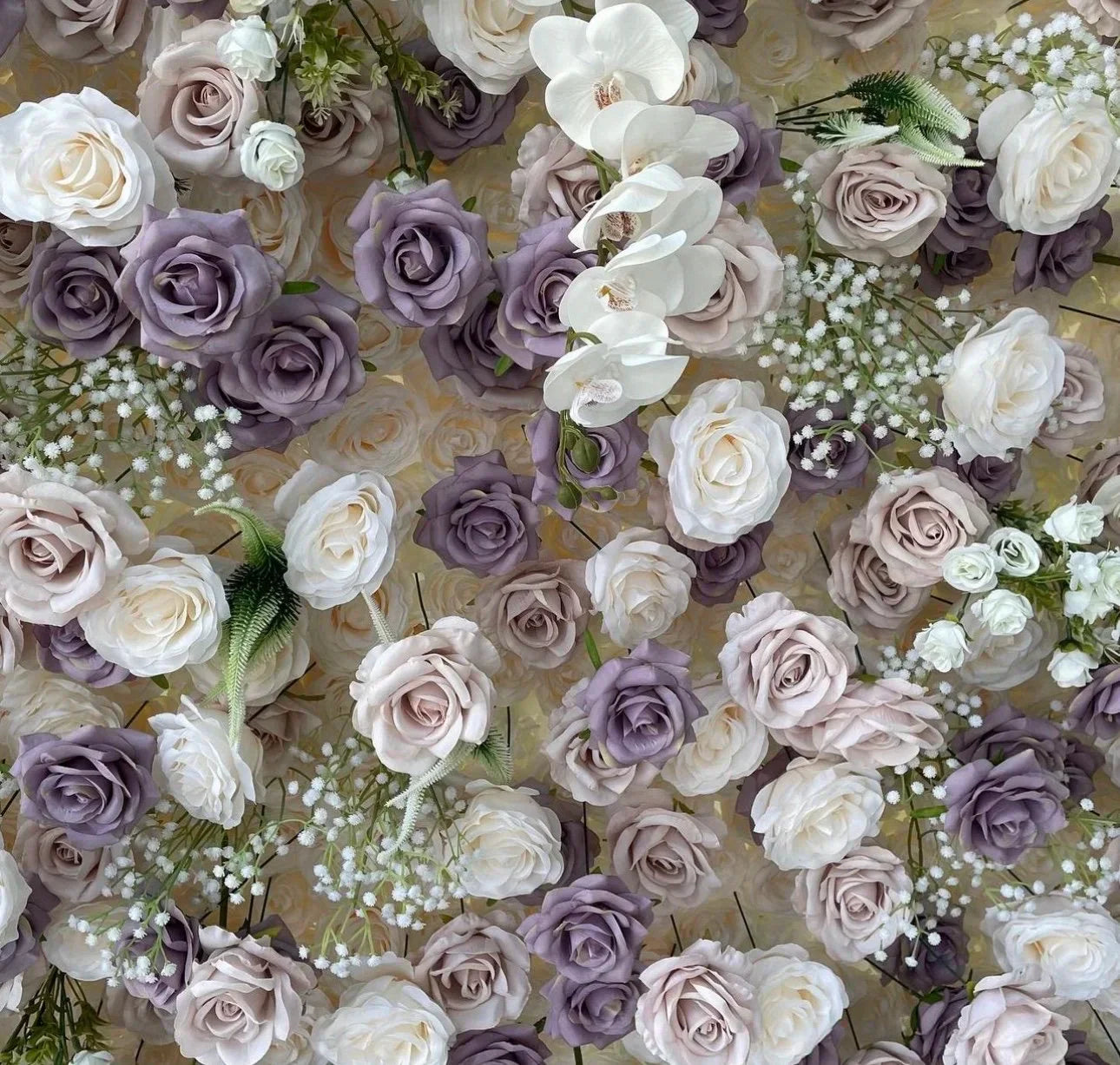 Babys Breath White. Purple Lavender Rose Flower Backdrops | 255
