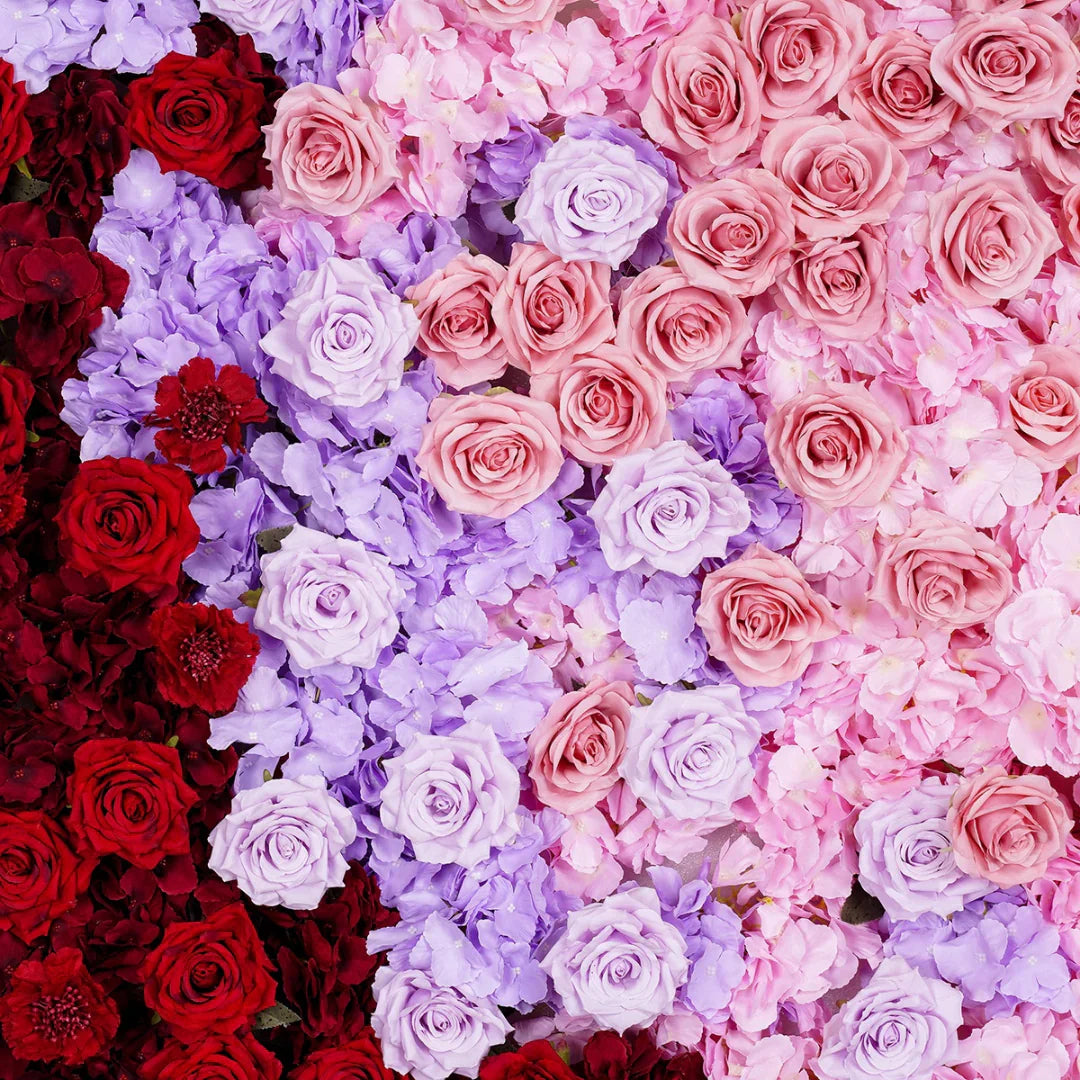 Pink, Purple and Red Premium Rose Backdrops | 326