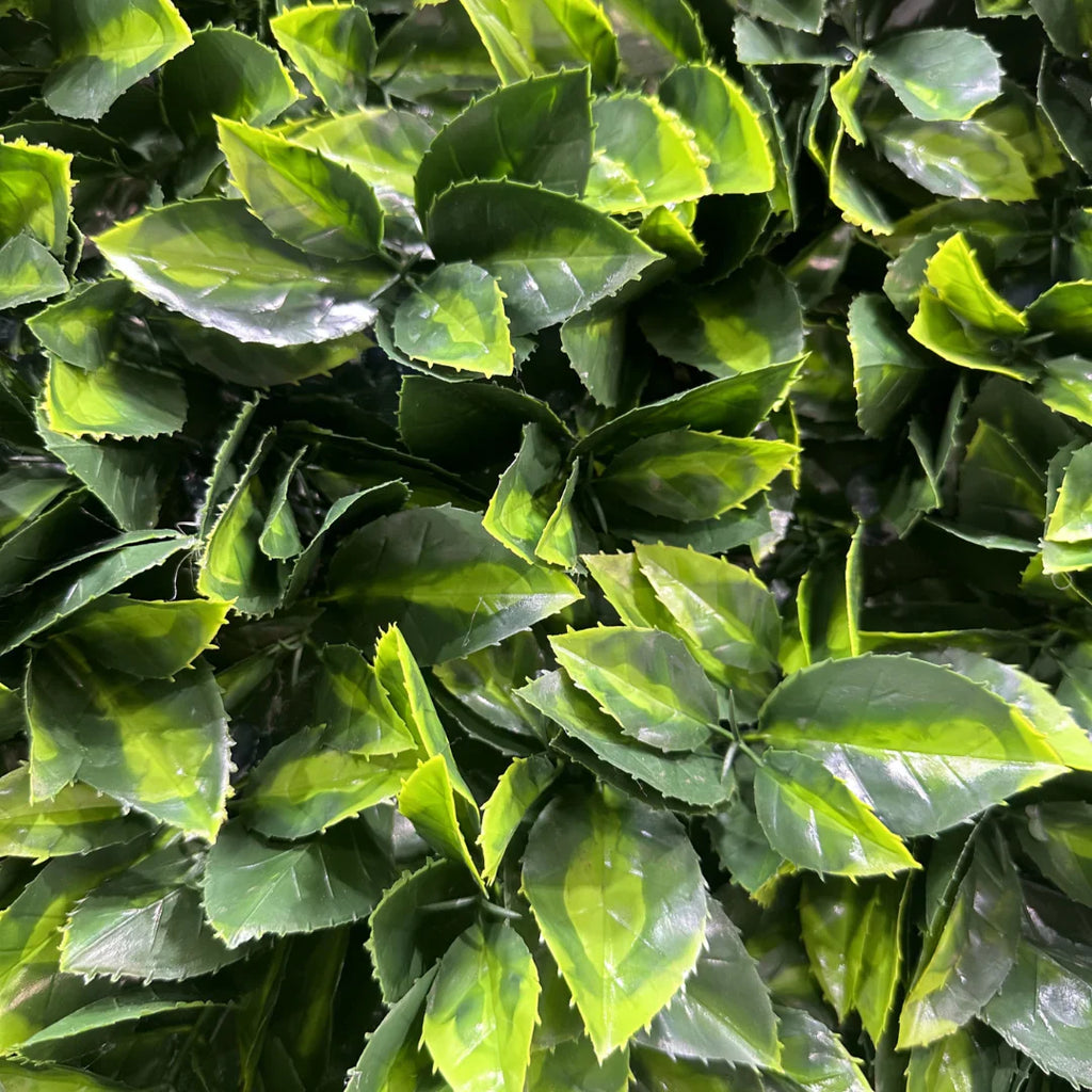 Thick Hedge Deluxe Greenery Backdrops | 535