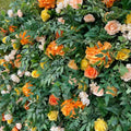 Into the Meadow Orange and Yellow Premium Greenery Flower Backdrops | 049