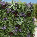Tropical Lavender Greenery Floral Backdrops | 169