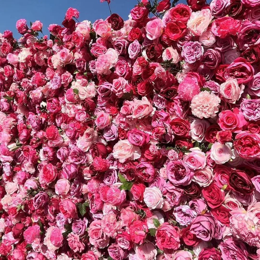 Light & Dark Pink Wild Rose Premium Flower Backdrops | 217