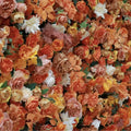 Orange Wild Rose Premium Flower Backdrops | 617