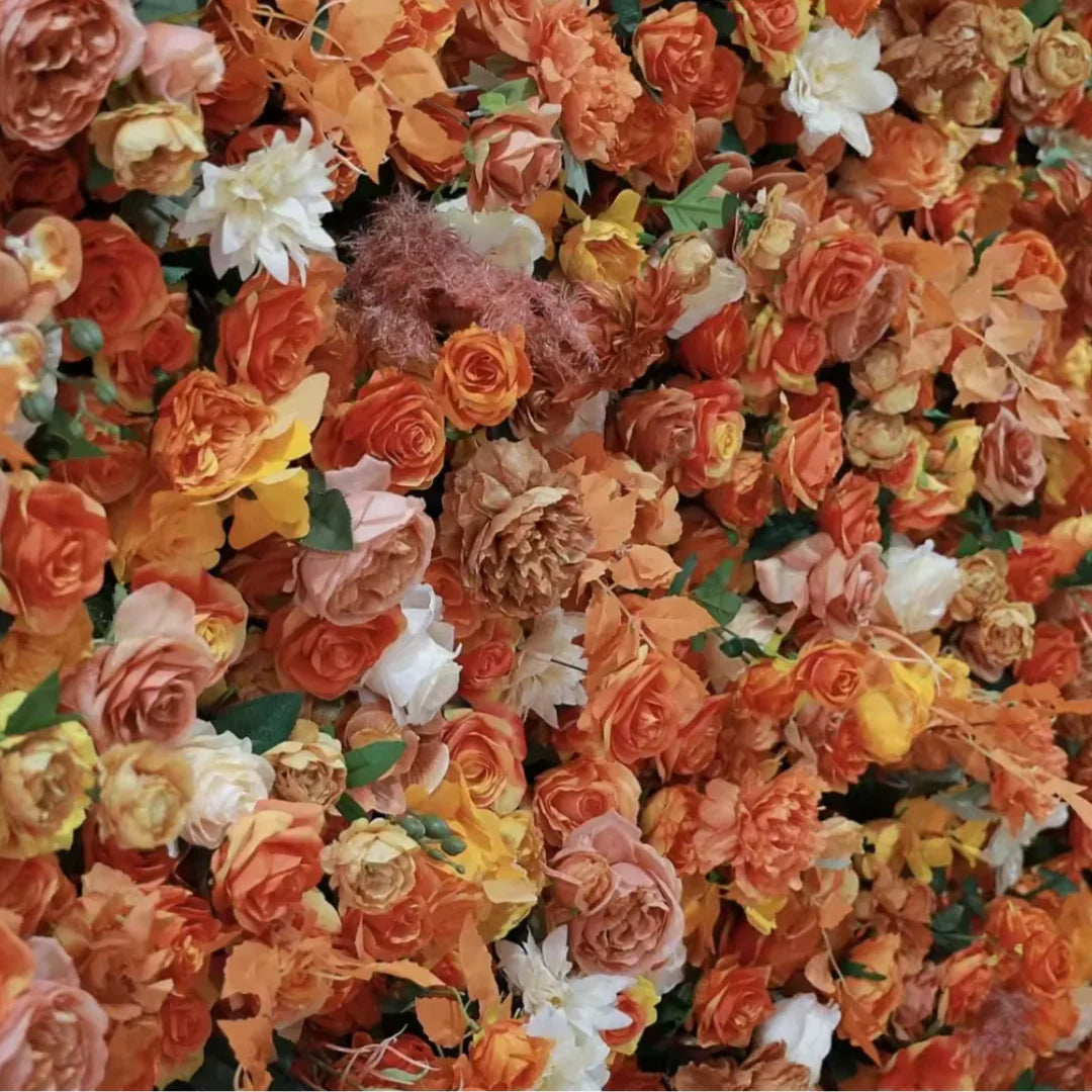 Orange Wild Rose Premium Flower Backdrops | 617