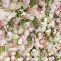 Pink Cream Greenery Flower Backdrops | 266