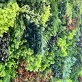 Botanical Dream Premium Greenery Flower Backdrops | 507