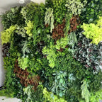 Botanical Dream Premium Greenery Flower Backdrops | 507