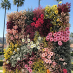Pink, Brown, Red & Yellow Premium Flower Backdrops | 132