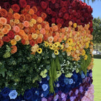 Rainbow Rose Premium Flower Backdrops | 100