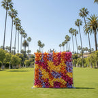 Orange, Purple, Pink and Yellow Premium Flower Backdrops | 032