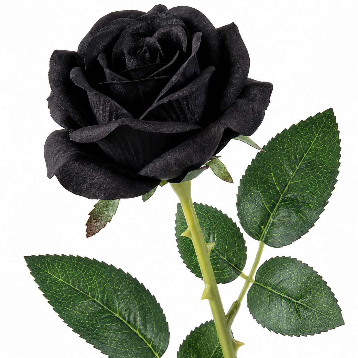 Black Real Touch Artificial Rose Stem