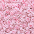 Classic Pink Rose Hydrangea Backdrop | 002