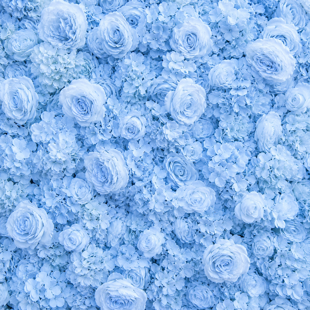 Classic Light Blue Rose Hydrangea Backdrop | 006
