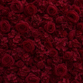 Classic Dark Red Rose Hydrangea Backdrop | 005