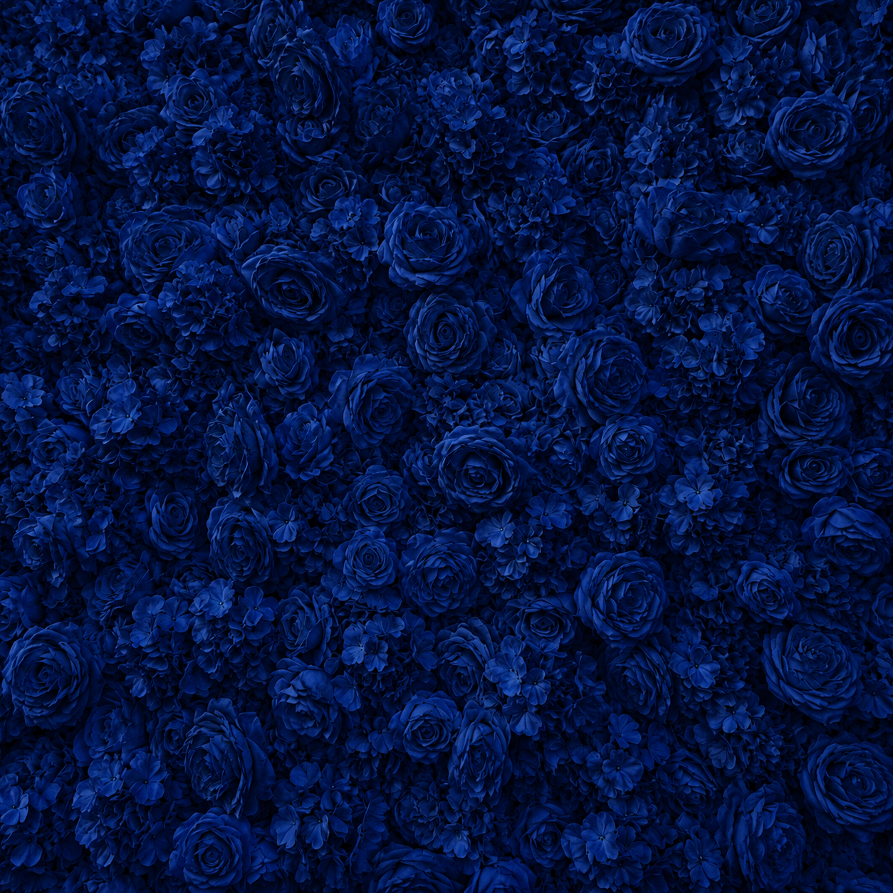 Classic Dark Blue Rose Hydrangea Backdrop | 008