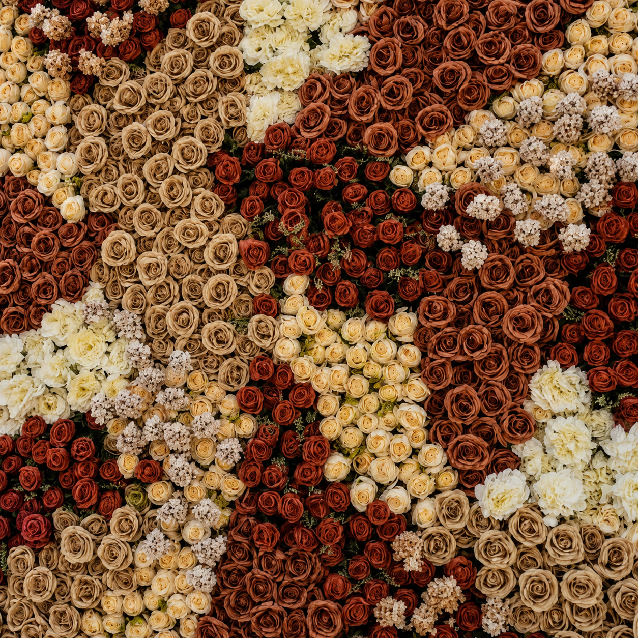 Brown, Tan and Cream Premium Rose Flower Backdrops | 323
