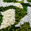 White Cream Greenery Premium Flower Backdrops | 324