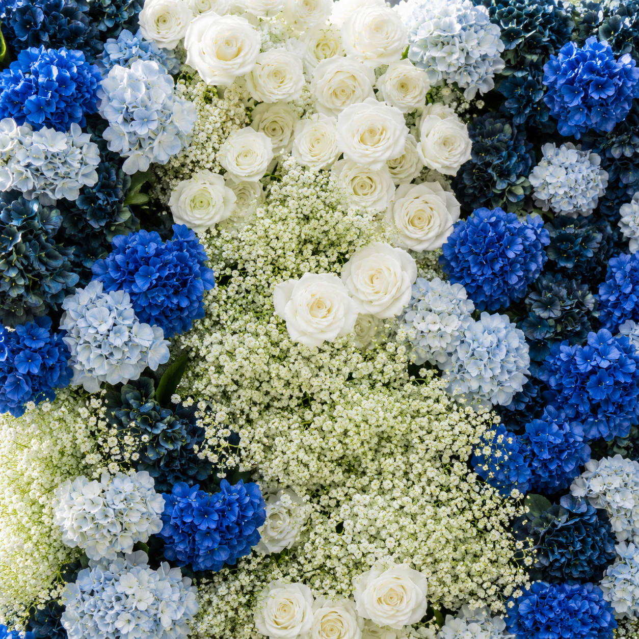 Babys Breath Dark Blue & White Rose Premium Flower Backdrops | 332