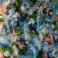 Into The Meadow Dripping Pink, Blue and White Flower Backdrops | 267