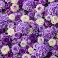 Purple Violet Wild Rose Premium Flower Backdrops | 289