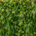Wild Green Rose Premium Greenery Flower Backdrops | 531