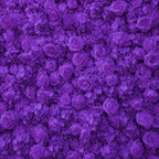 Classic Purple Rose Hydrangea Backdrop | 010