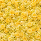Classic Yellow Rose Hydrangea Backdrop | 012