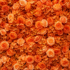 Classic Orange Rose Hydrangea Backdrop | 013