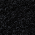 Classic Black Rose Hydrangea Backdrop | 016