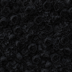 Classic Black Rose Hydrangea Backdrop | 016
