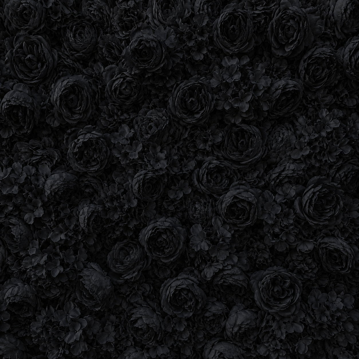 Classic Black Rose Hydrangea Backdrop | 016
