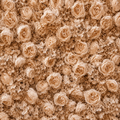 Classic Tan Rose Hydrangea Backdrop | 015