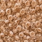 Classic Tan Rose Hydrangea Backdrop | 015