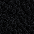 Deluxe Black Rose Backdrop | 035