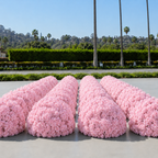 Classic Pink Rose Hydrangea Backdrop | 002