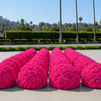 Classic Hot Pink Rose Hydrangea Backdrop | 003
