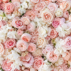 Dripping Pink and White Premium Rose Flower Backdrops | 258