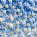 Baby Blue & White Premium Ombre Flower Backdrops | 114