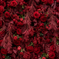Into the Meadow Red Rose Premium Flower Backdrops | 235